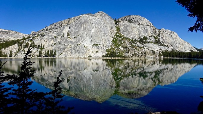 Is that Polly Dome?  If not, what else could it be?