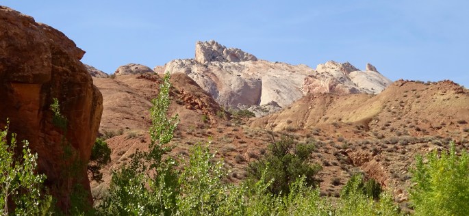 How many colors are there?