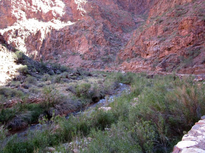 Why didn't I get any better pictures while I was in The Box?