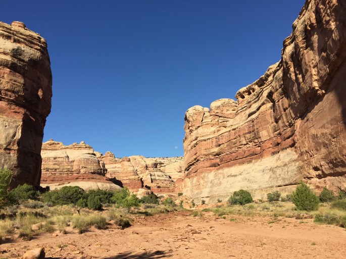 Much of my journey was spent walking through the canyon bottoms