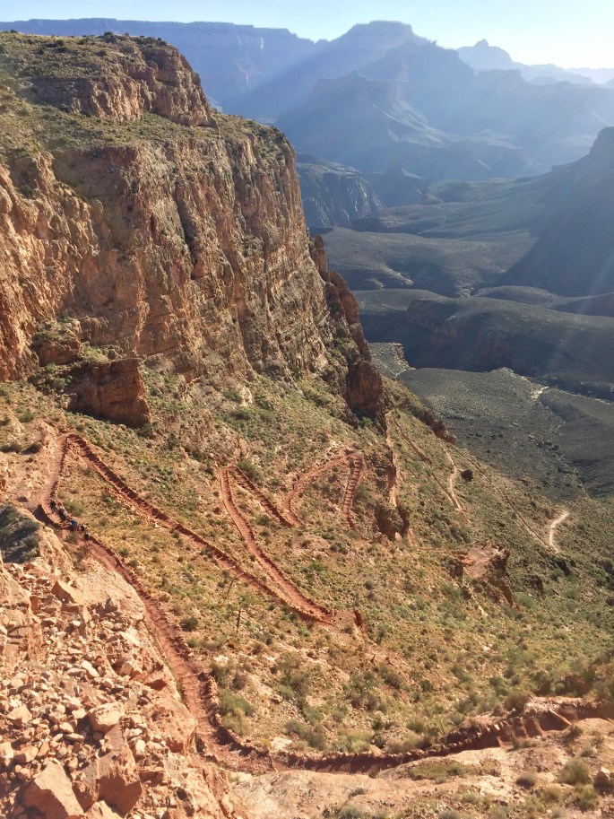 Surely you jest.  The trail and the the green zone behind it.