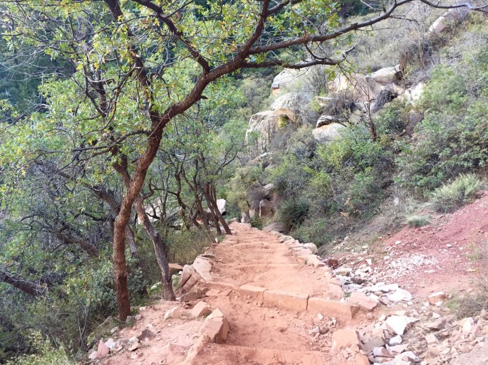 Why do I like this picture?