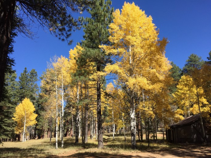 Yes, there was some color, but not as much as this scene would imply.