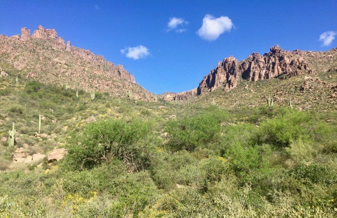 Looking up Peralta Canyon
