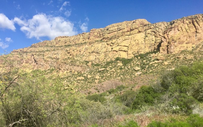 This "mountain" had an odd yellowish green color.