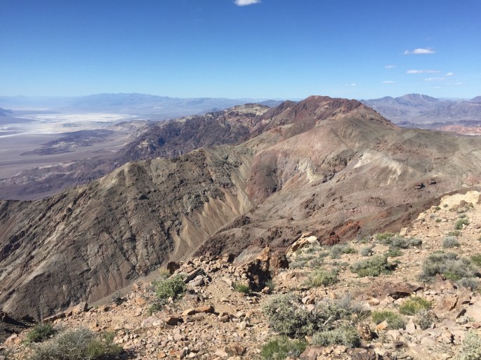 Can you count the colors in this picture?