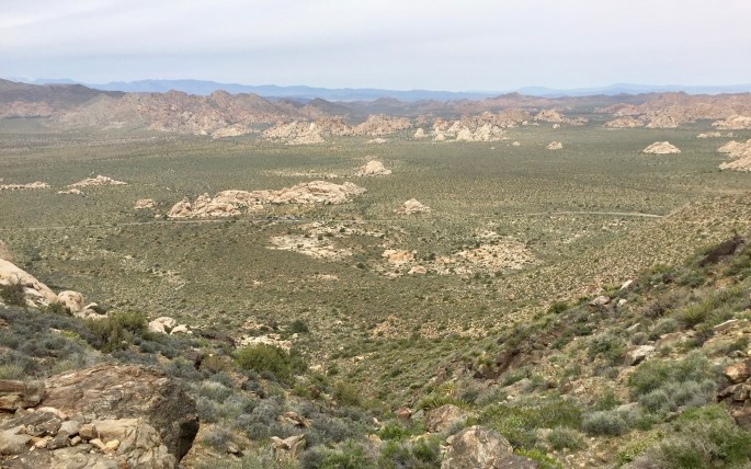 One view from the summit of Ryan Mountain