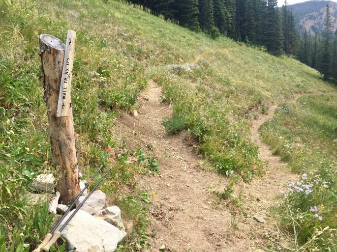 Thanks for the sign (or at least half of one).  Now I know which path to take.