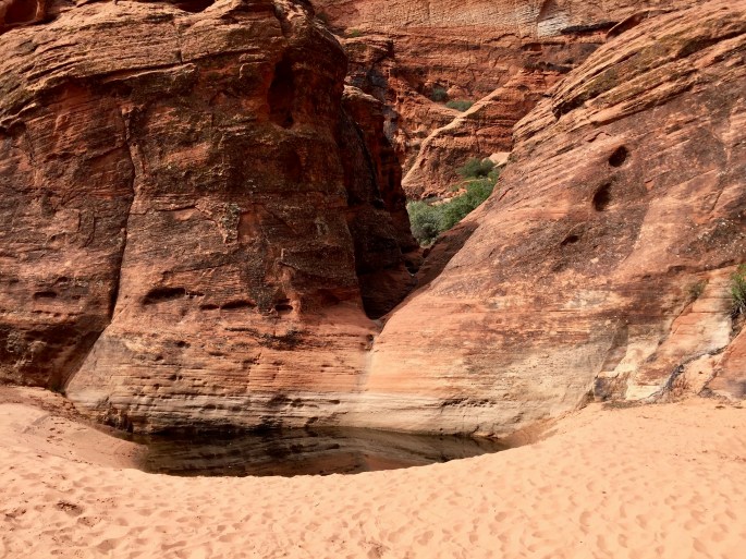 This trail was formerly called the Three Ponds Trail. This is the first pond.