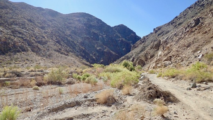 The trail begins as walk along a wash