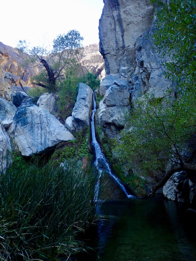 This is it, Darwin Falls. Was it worth the trip?