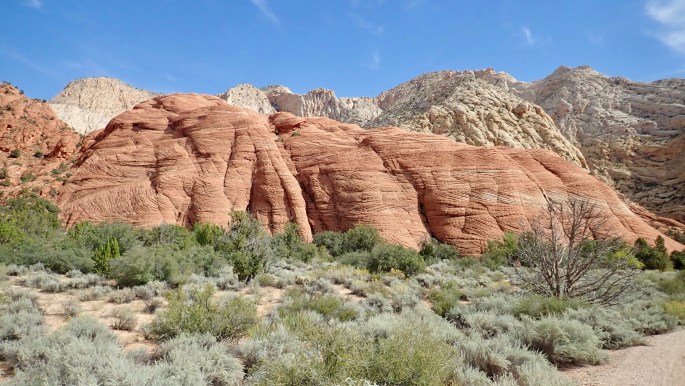 I found the texture of the rock here to be interesting