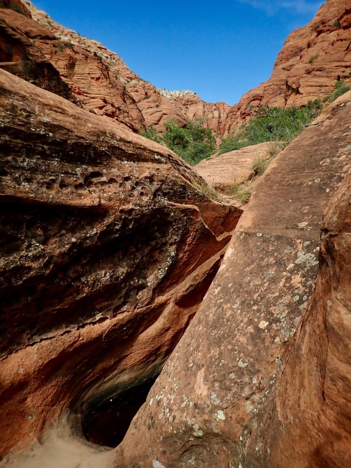 This was far enough for me. It was somewhere near the end of the trail.