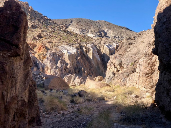 Tired of brown?  Here are some other colors.