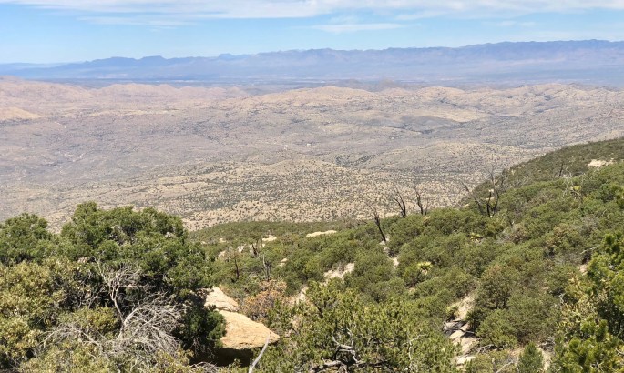 From this vantage point you can hardly tell that Tucson exists.