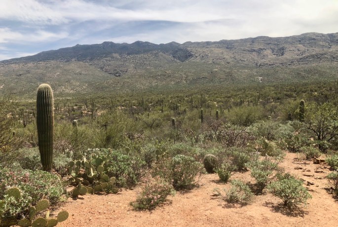 Nature, just nature, if you point your camera in the right direction.