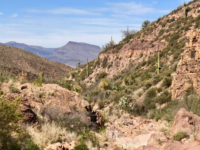 Descending into cactus country