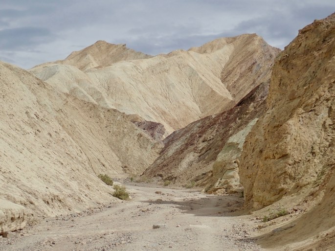 You could be forgiven if you assumed this area was all white