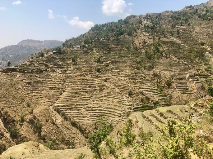 The Nepali have seemingly built terraces in every place possible.