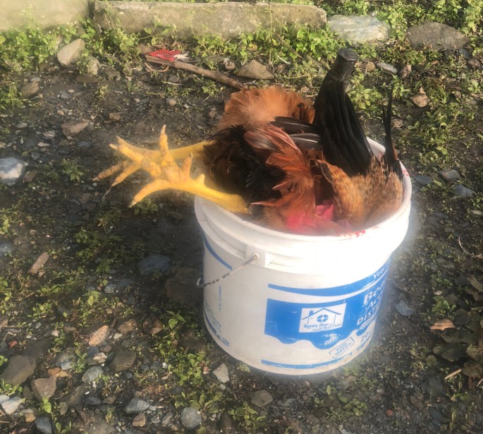 This might have something to do with last night's dinner