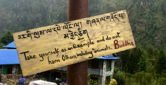 "Take yourself as an example."  Huh?  I get the rest.