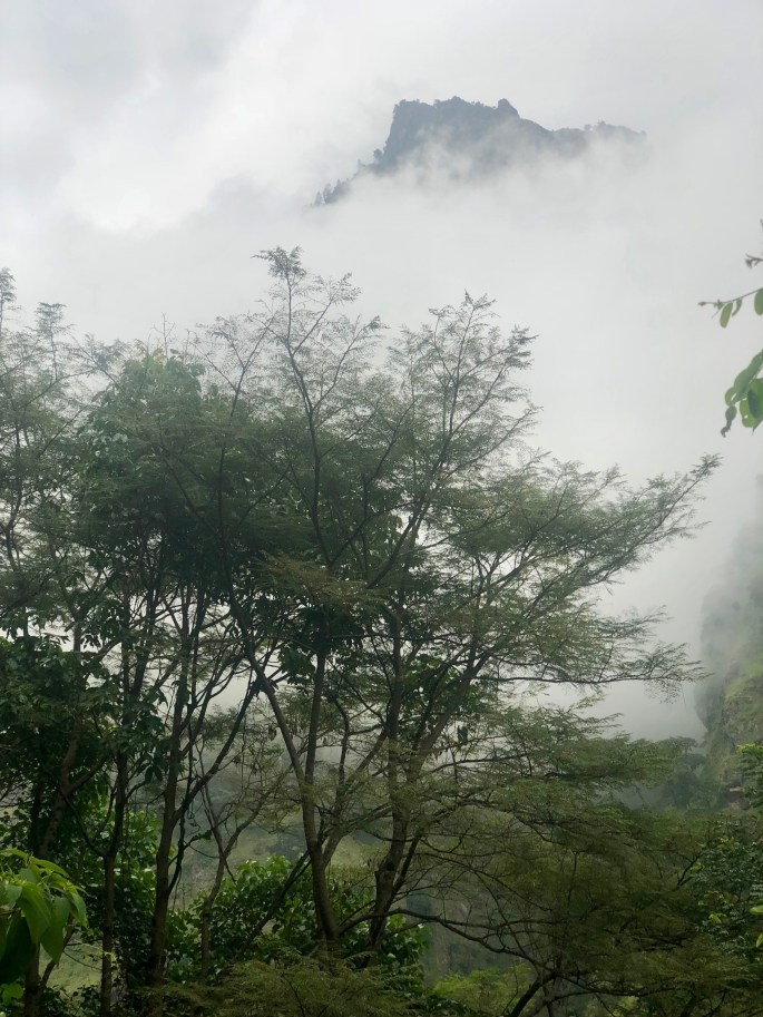 This scene reminded me of "the legendary floating mountains of Pandora"