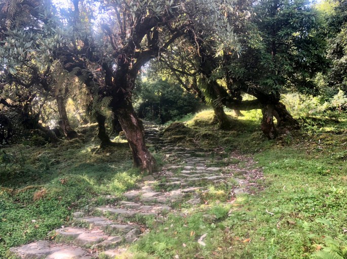 This is Nepal? Sure, why not?