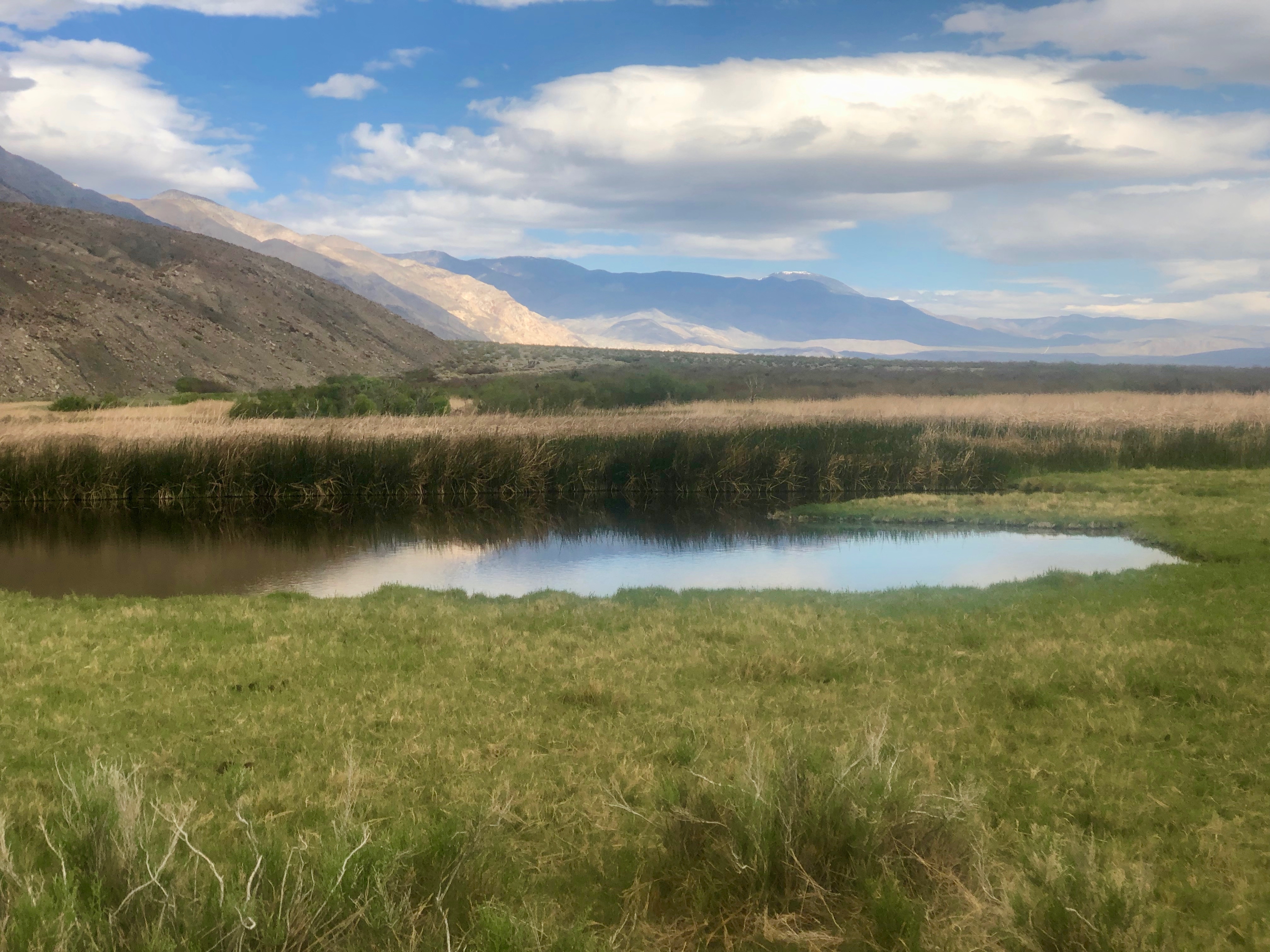 Ho hum.  More wetlands.