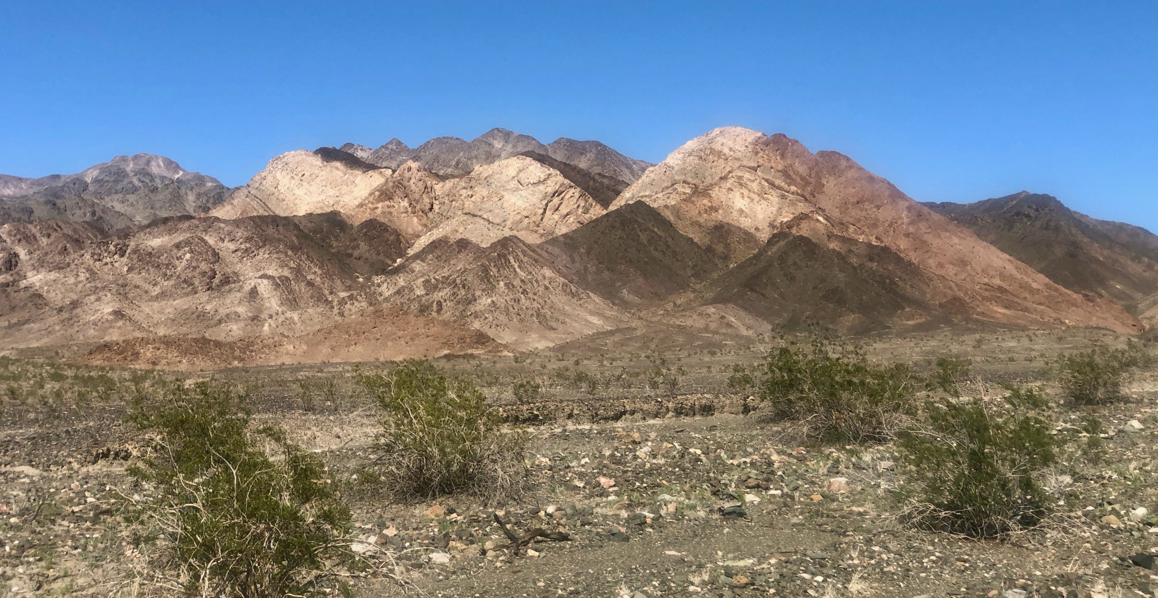 I didn't know there were this many shades of brown