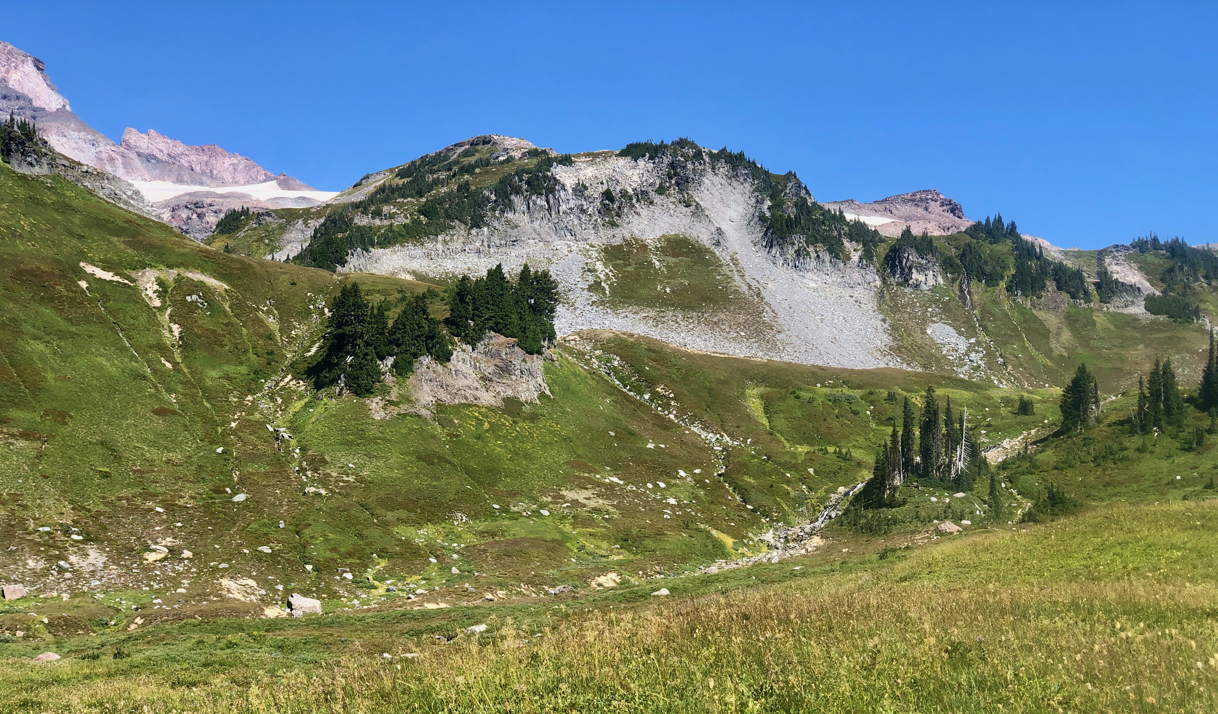 Portions of Paradise can be so green it almost hurts