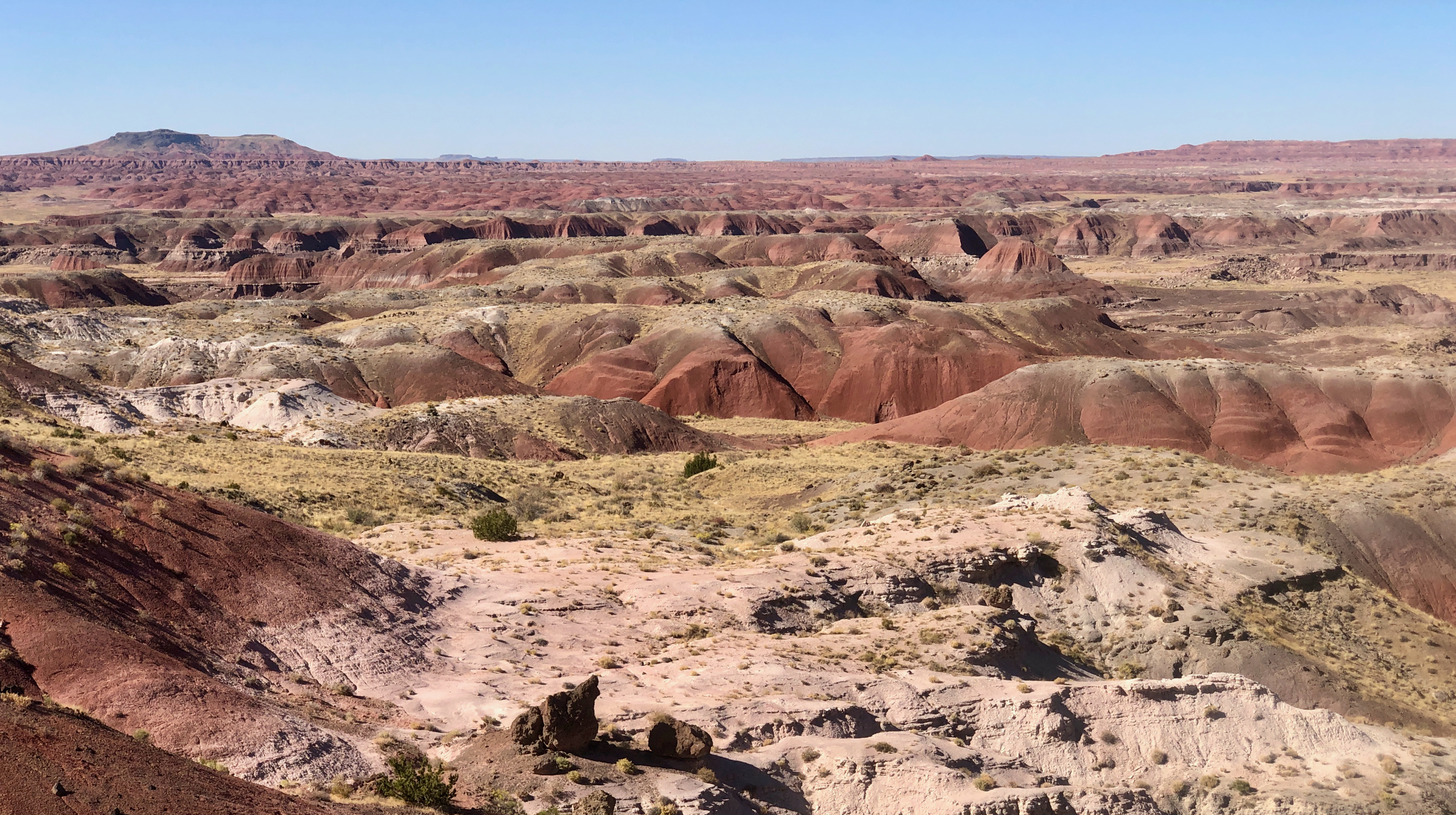 A jumble of colors stretching as far as the eye can see
