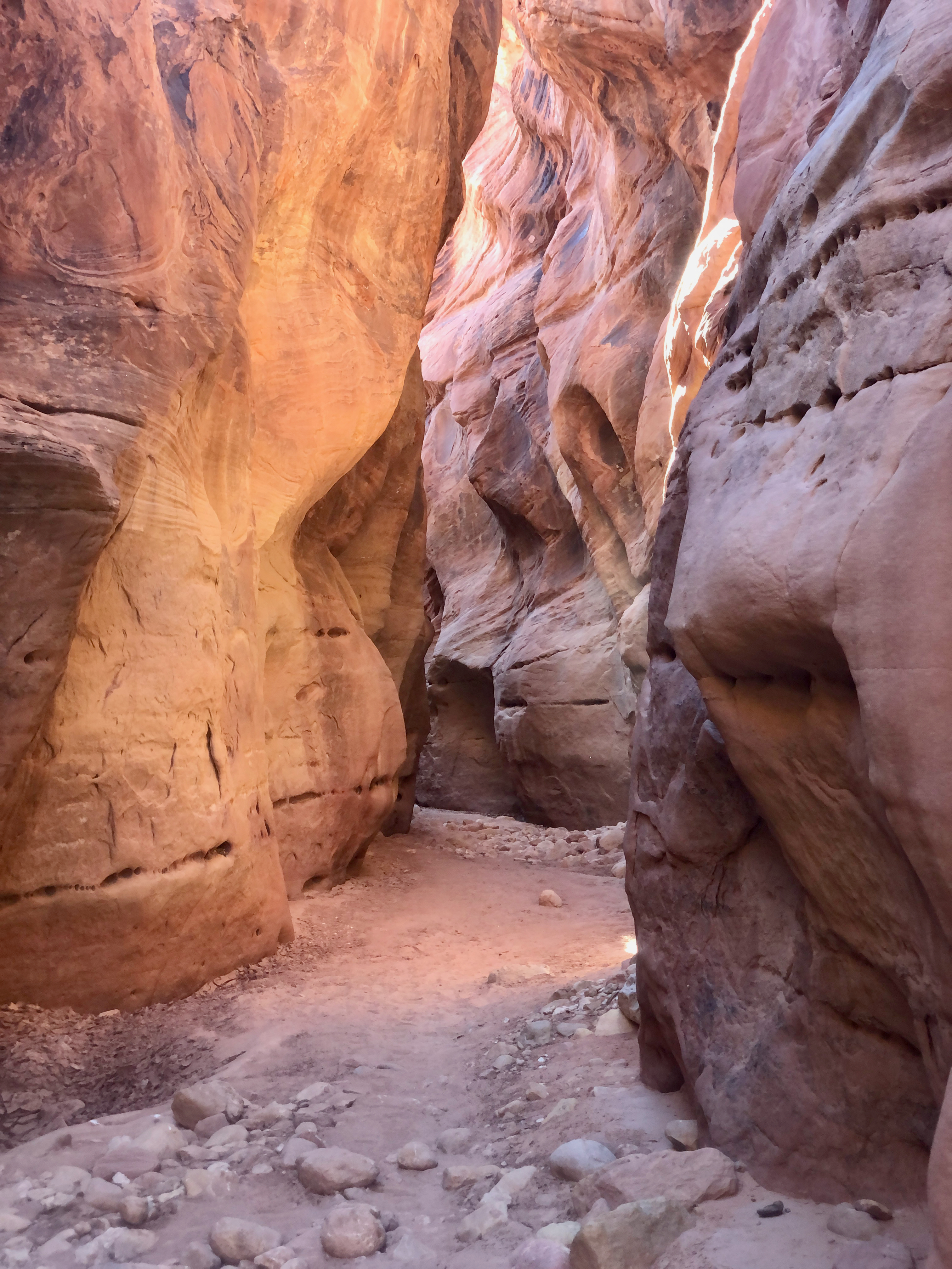 The vertical walls of the slot canyon known as Buckskin Gulch