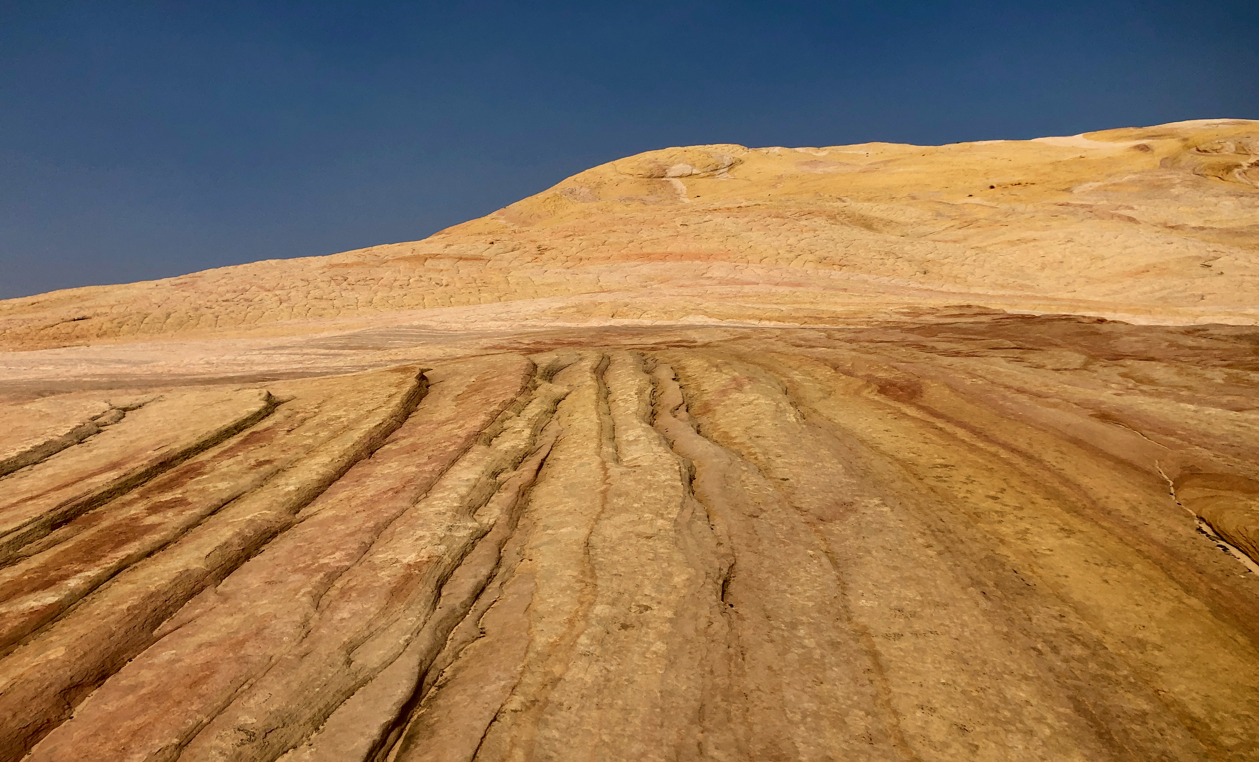 The surface reveals that something strange is going on here