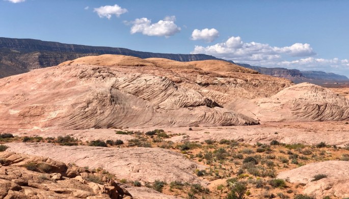 0C9901AE-E62E-49A8-A979-2EF13DC6C79B_1_105_c