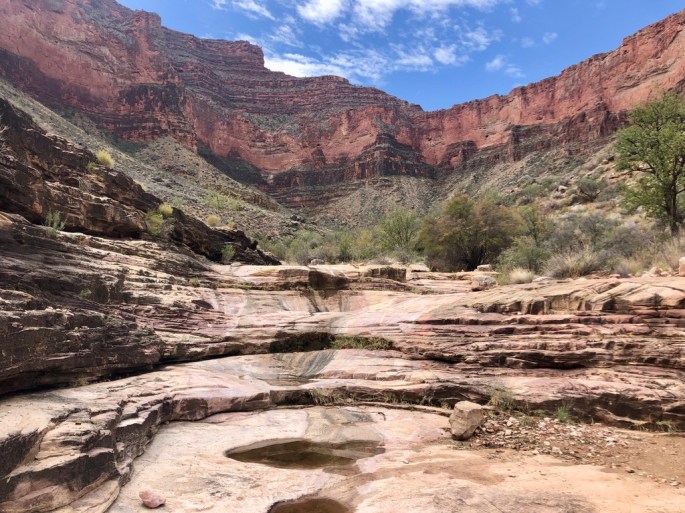 1F363F07-7013-4779-AB43-95AF12B7FD1B_1_105_c