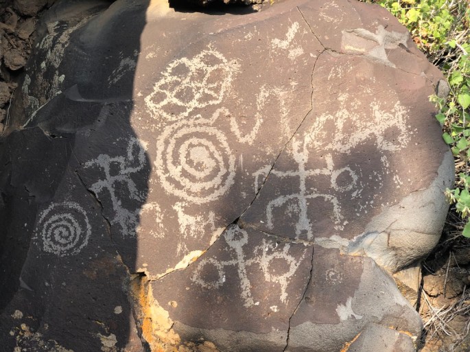 28DD2DB1-54B1-4902-B6D5-1ED3B4204409_1_105_c