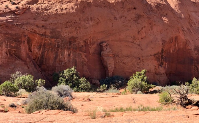 2A88026E-AD45-4D2F-8872-F3D3BF295792_1_105_c