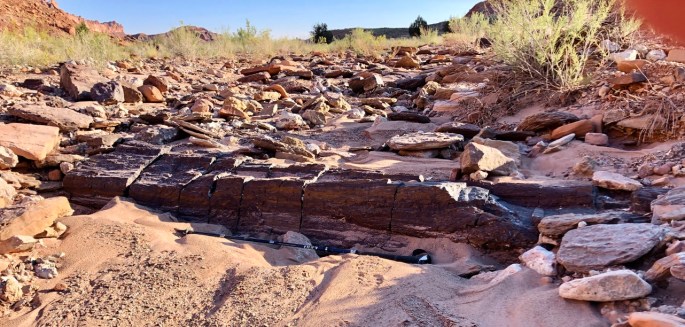 3246593F-2E21-4541-9D14-C7D4CB0F3979_1_105_c