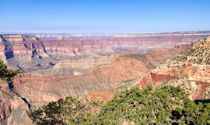 350827E4-2F08-46A2-B9FA-DA6F8E42EA3B_1_105_c