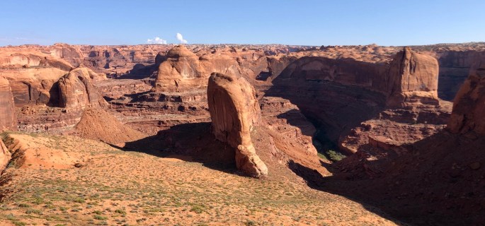 550FDA5E-31F4-44B9-A19E-6351DCDA316B_1_105_c