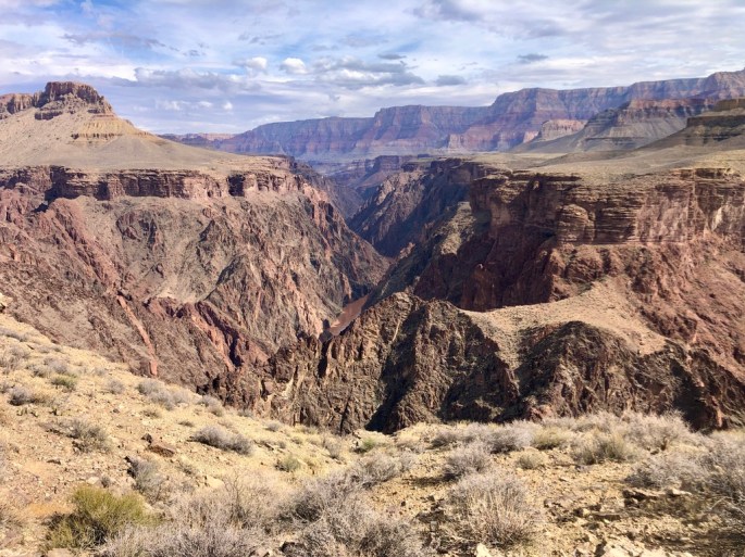 6E69D745-8C55-4FCE-83CE-15DA246966EE_1_105_c