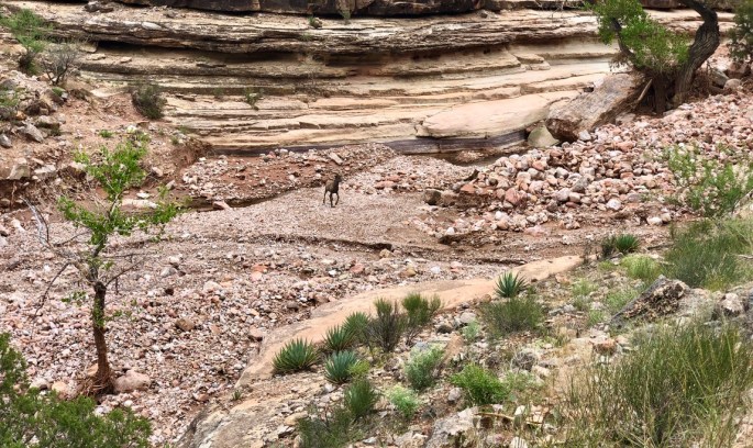 7B3F8706-702C-4A3E-A775-51E2EDDD51B5_1_105_c