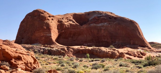 829B62AB-386F-44D8-9287-04A9F10E2095_1_105_c