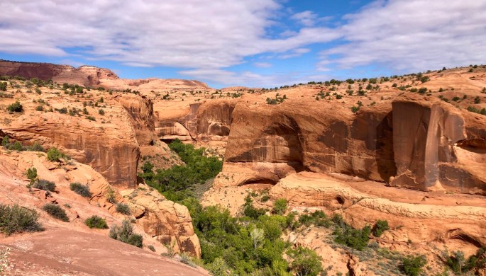 99A222F1-5022-4789-80BF-13E17047EA59_1_105_c