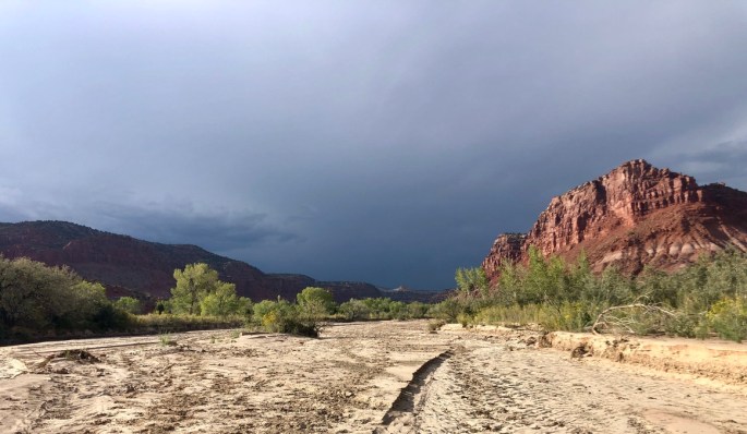 C9A85B65-429E-466D-8FA8-4FE646CAD668_1_105_c