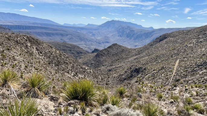 5A880FC8-B3B9-4061-84D4-FF9175FBD877_1_201_a