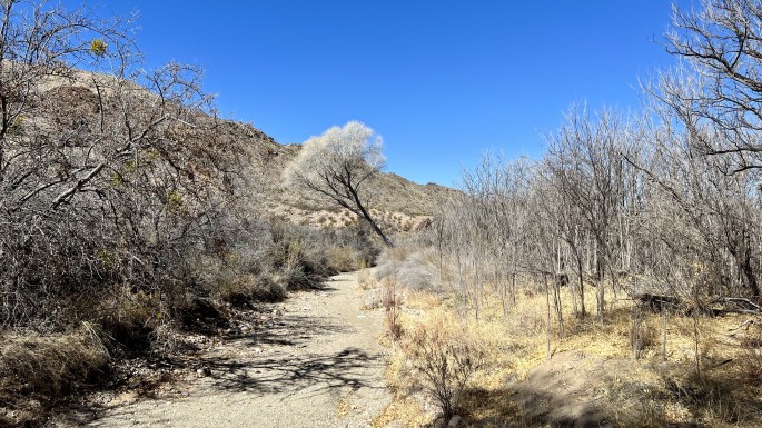 EA9F432C-3C46-4633-9C24-791E1ADA9DCE_1_201_a