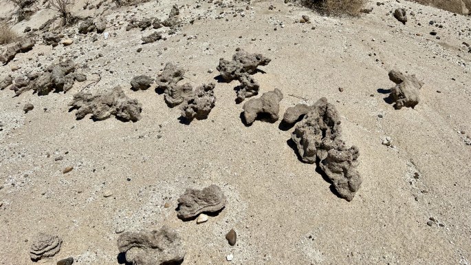These are some of the weirdest "rocks" I have ever seen.  What's going on here?
