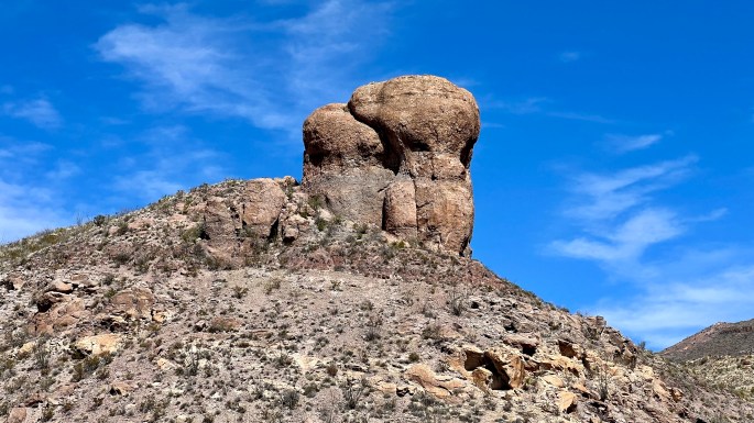 I think this is a petrified elephant